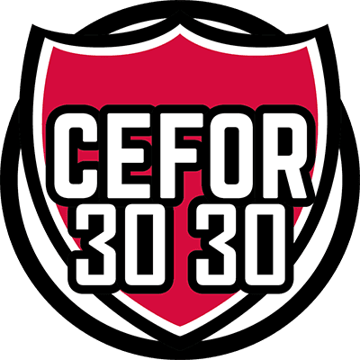 Escudo de Cefor 3030