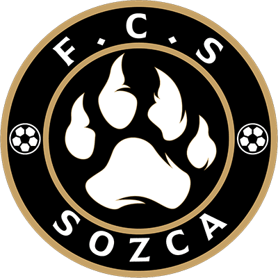 Escudo de Sozca