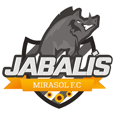 Escudo de Jabalís